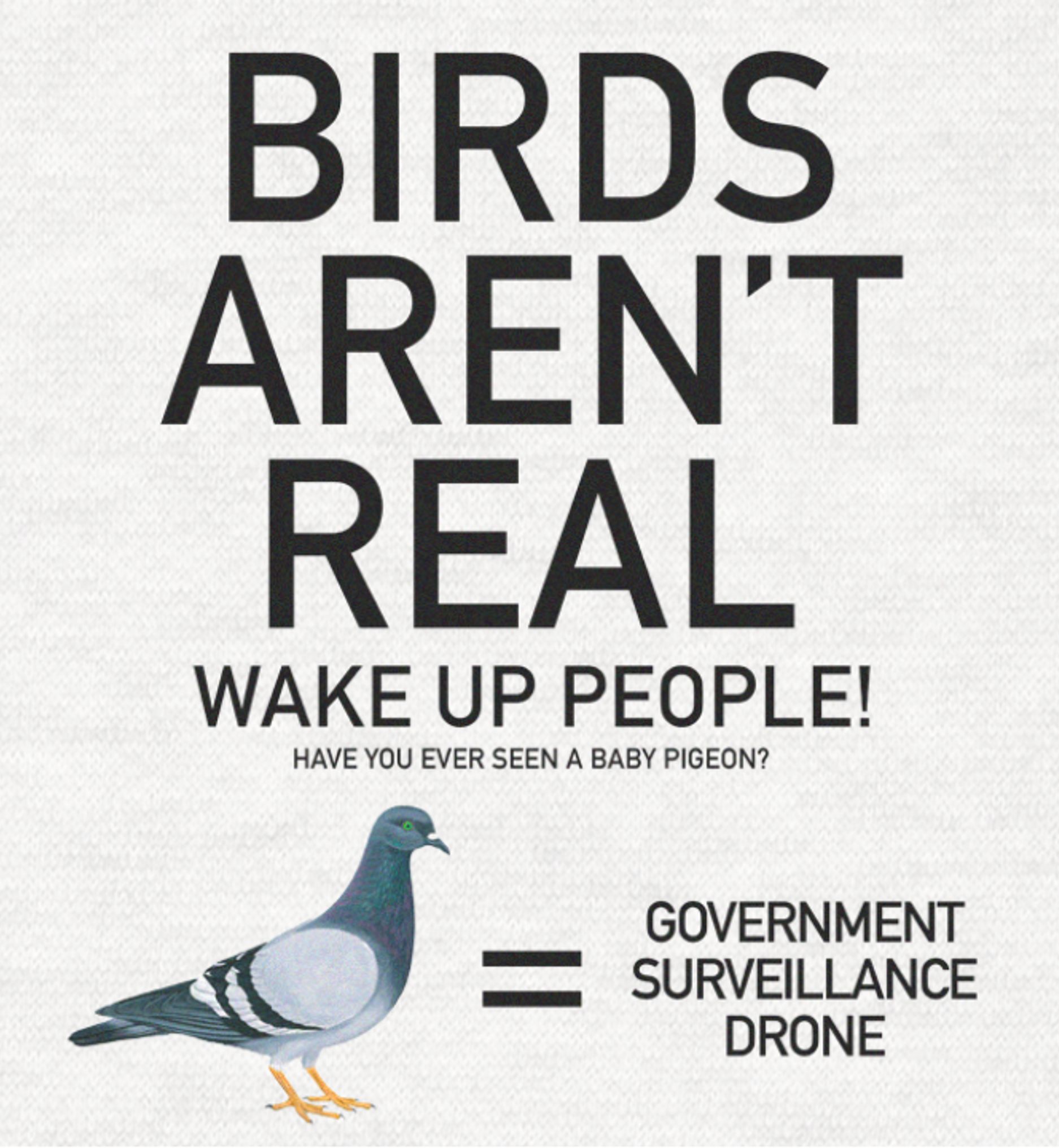 grey poster with a pigeon telling people birds are not real